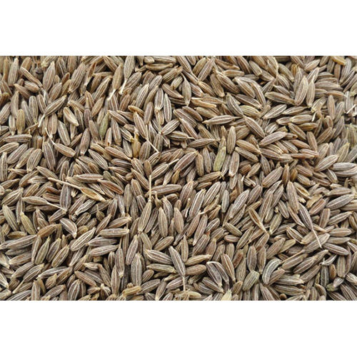 Dried Cumin Seed