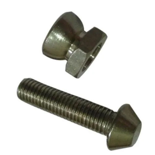 Stainless Steel Anti Theft Bolts