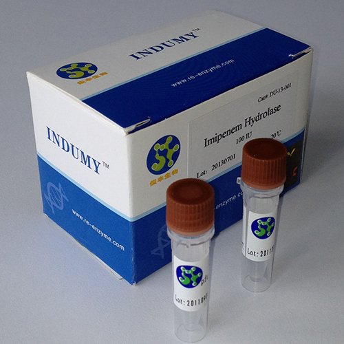 Imipenem Hydrolase