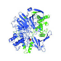 Penicillin G Acylase Dry Place