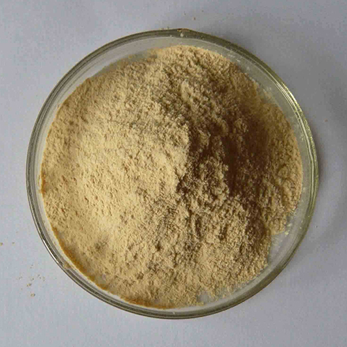 Tryptic Casein Peptone