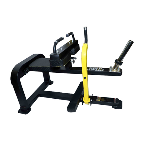 Seated Calf Machine
