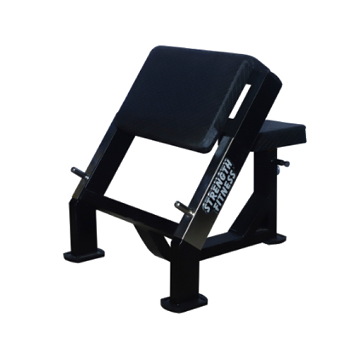 Preacher Curl Bench