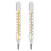 Oval Clinical Thermometer