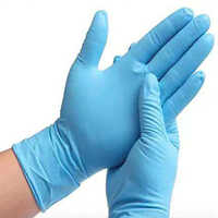 Nitrile Gloves