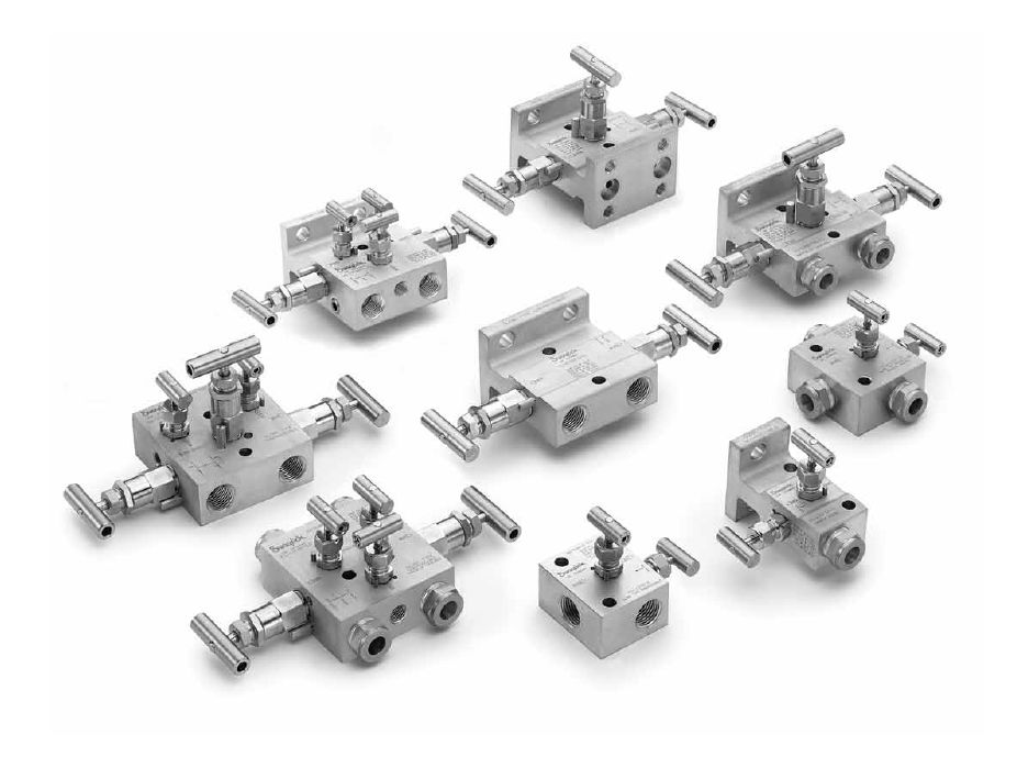 SS Manifold Valves