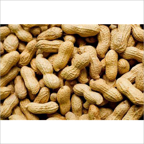 Brown Groundnut Peanut