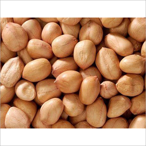 Indian Groundnut  Kernel