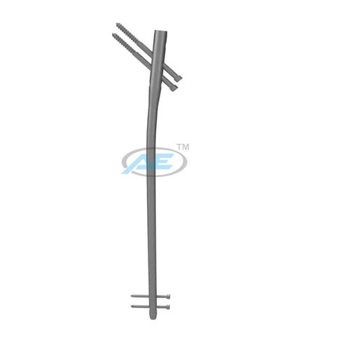 Reconstruction Femoral Nail