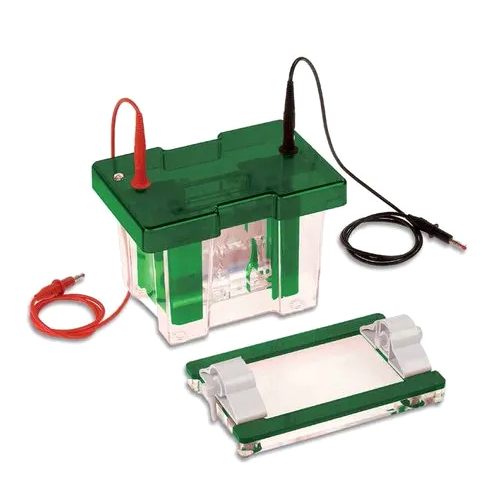 Vertical Electrophoresis Unit