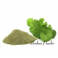 Brahmi Powder - Herbal Extract Formulation | Dry Storage, Commercial Usage