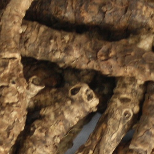 KUTKI EXTRACT