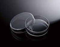 Petri Dish 60 mm