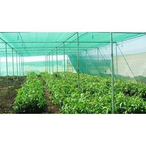 Nursery Green Shade Net