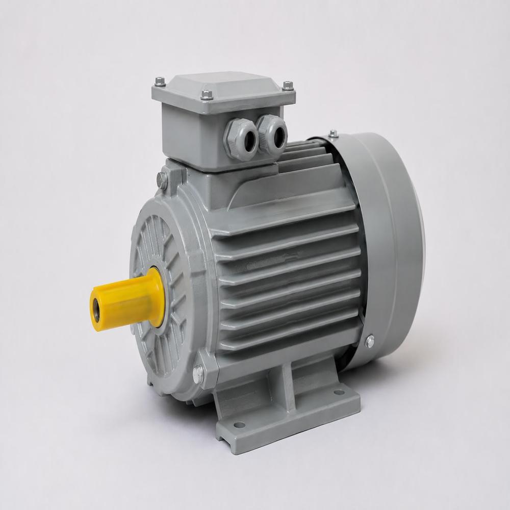 Crompton 3 Phase Induction Motor - Features: Durable