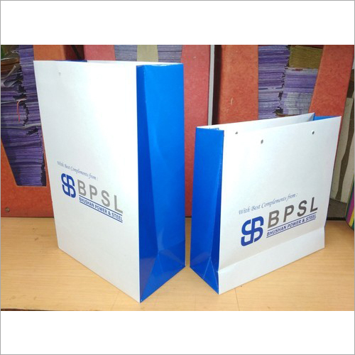 Corporate Paper Bags - Kraft Paper, Flexiloop Handle | Customized Designs, Logos, Patterns with Offset Printing