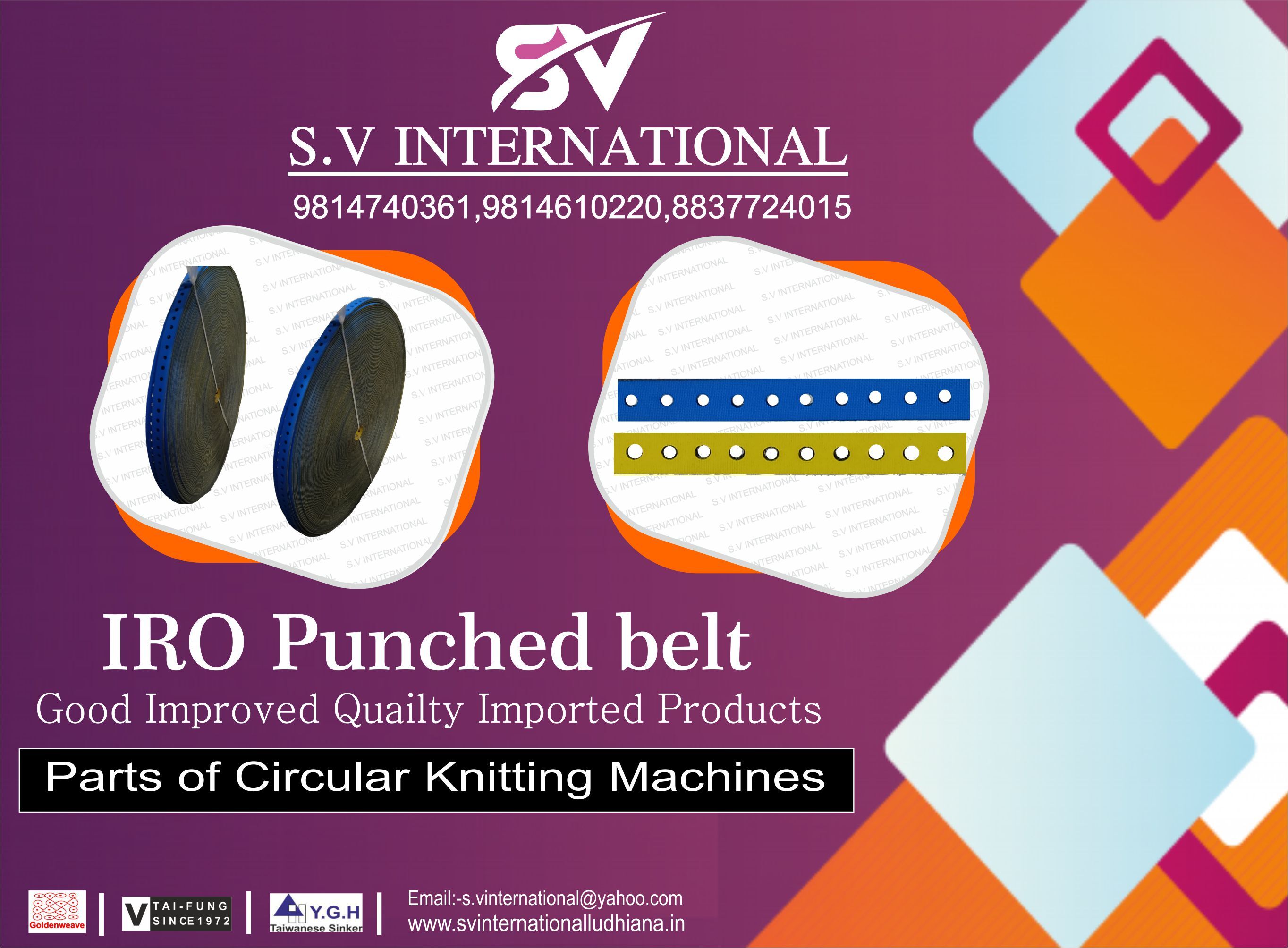 IRO Punched Belt