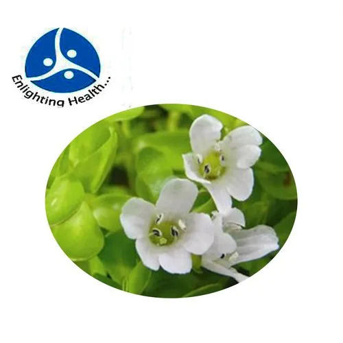 Bacopa 20 % Bacoside