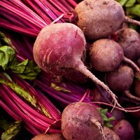 Red Beet Root Color
