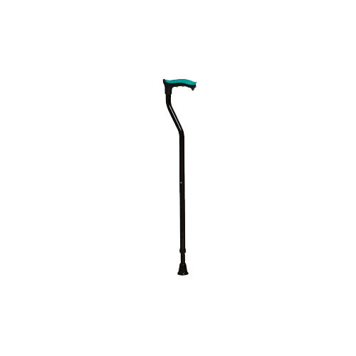 Walking Stick