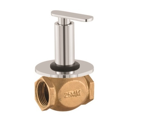 Flush Valve 25 MM DZI-09