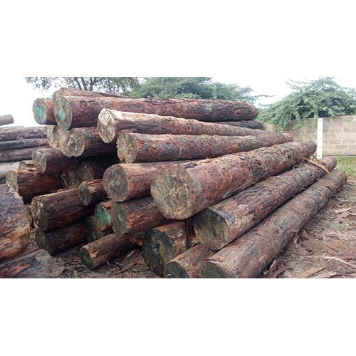 Round Wood Logs