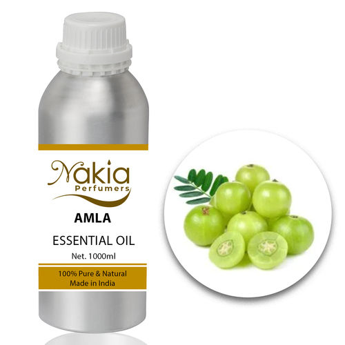Buy Natural Amla Seed Essential Oil Online at Best Price in Delhi India Nakia Perfumers