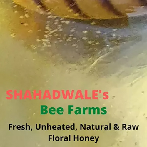 Honey SHAHADWALE 1Kg
