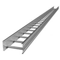 Cable Tray Ladder - Mild Steel Construction | Durable Design for Optimal Cable Management