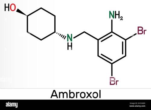 Ambroxol Hcl Cas No: 23828-92-4