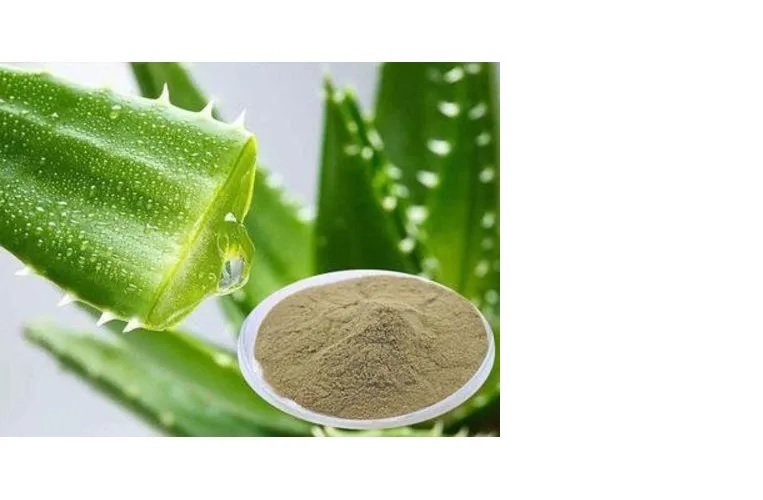 Aloevera powder