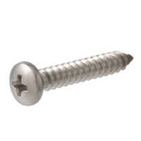 Ss Pan Phillips Screw - Finish: Polished