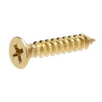 Polished Brass Raised Head Screw