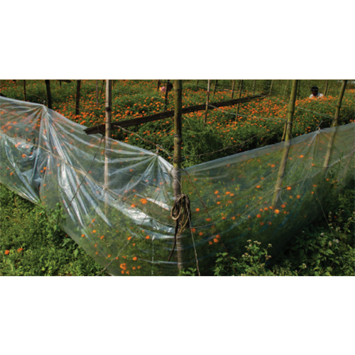 Mulching Sheet