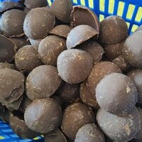 Organic Palm Jaggery