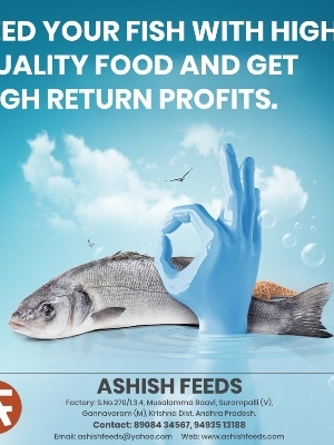 Aquariums Fish Food