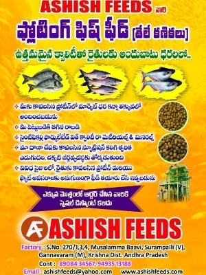 Aquariums Floating Fish Pellet Feed