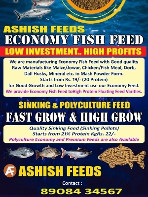 Mash And Pellets Rohu Fish Feed at Best Price in Vijayawada | Ashish Feeds