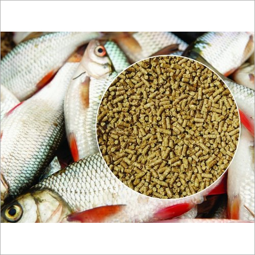 Sinking Fish Feed - Low FCR, High Growth | Quality Feed Made with Premium Raw Materials for All Fish Types