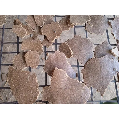 Nutrition Feeds Groundnut Cake