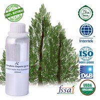 1000 ml Pine Essential Oil