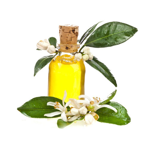 Amyris Oil - 99% Purity Liquid Essential Oil | Herbal Extract from Flowers, Store in Cool & Dry Place