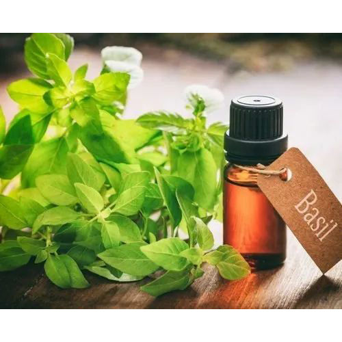 Basil (Holy) Essential Oil