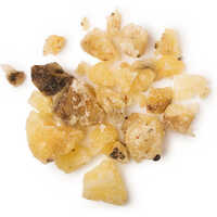 Elemi Oil