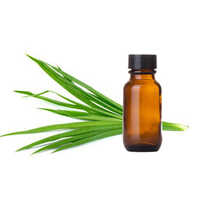 Ginger Grass Oil
