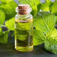 Melissa Oil - 96% Purity Herbal Extract , Liquid Appearance For All Age Groups, Store In Cool & Dry Place