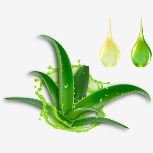 Aloe Vera Oil