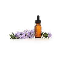 Croton Oil - 99% Pure Liquid Extract | Natural Flower Essence, All Age Group Suitable, Store In Cool & Dry Place