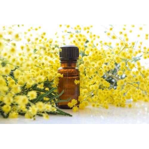 Mimosa Seed Oil