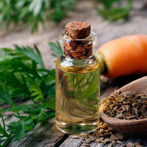 Carrot Seed Oil